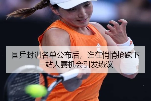 国乒封训名单公布后，谁在悄悄抢跑下一站大赛机会引发热议
